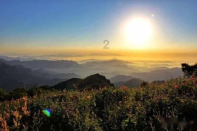 两会新视野|市肿瘤医院院长郝继辉:充分利用互联网资源 提升老年人就医体验 扫码阅读手机版